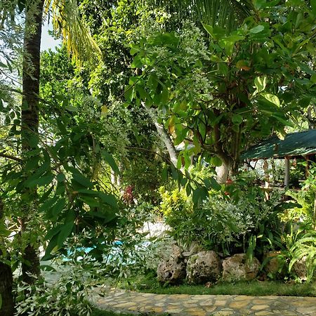 Zapote Tree Inn Flores Kültér fotó
