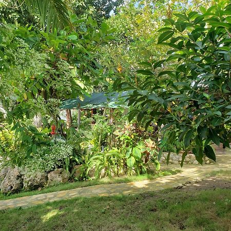 Zapote Tree Inn Flores Kültér fotó