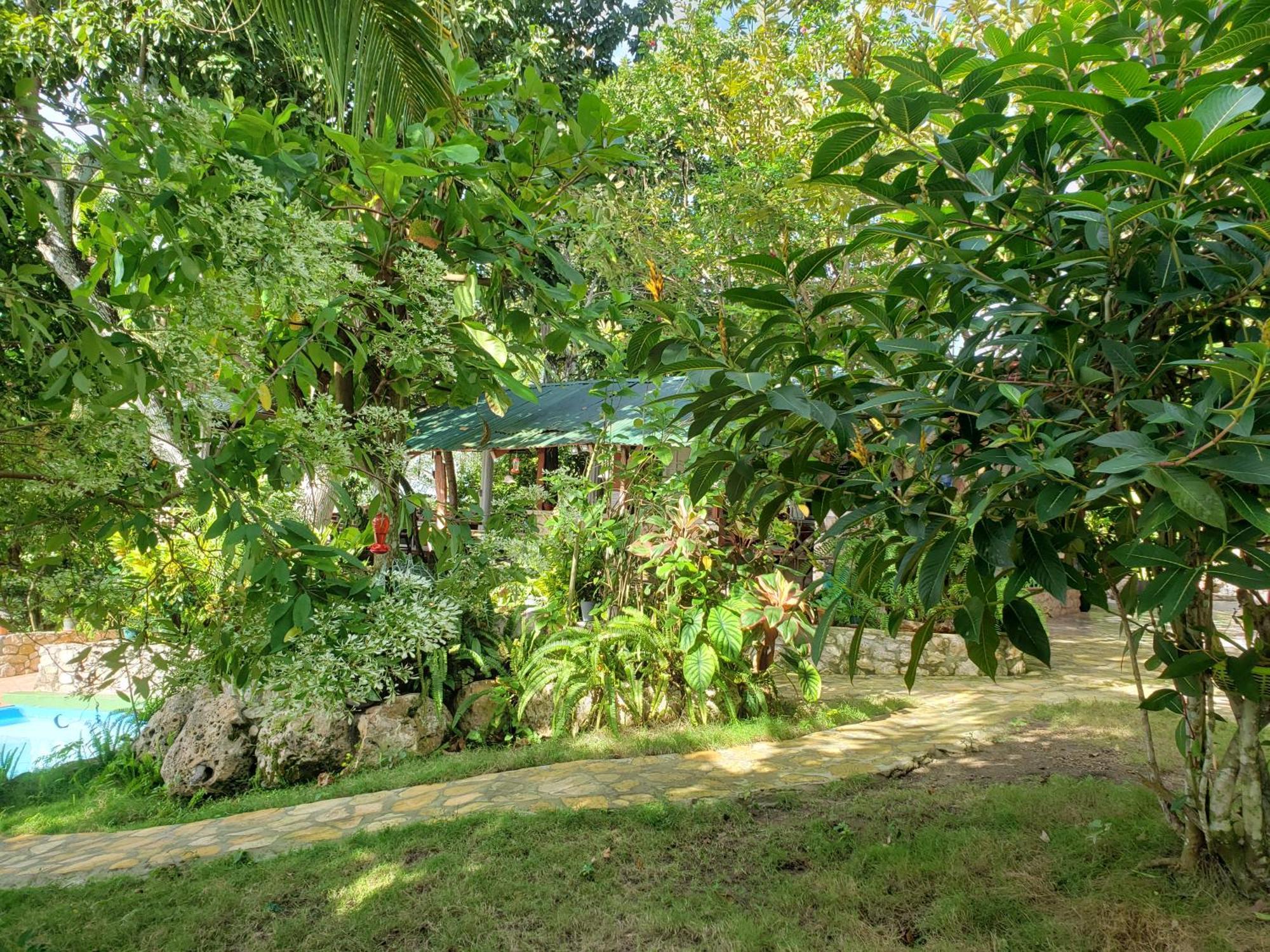 Zapote Tree Inn Flores Kültér fotó