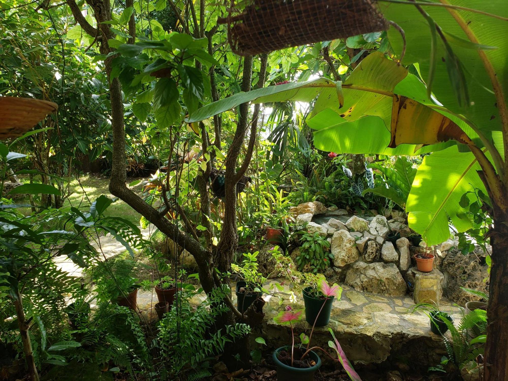 Zapote Tree Inn Flores Kültér fotó