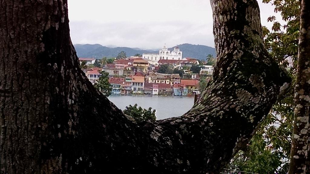 Zapote Tree Inn Flores Kültér fotó