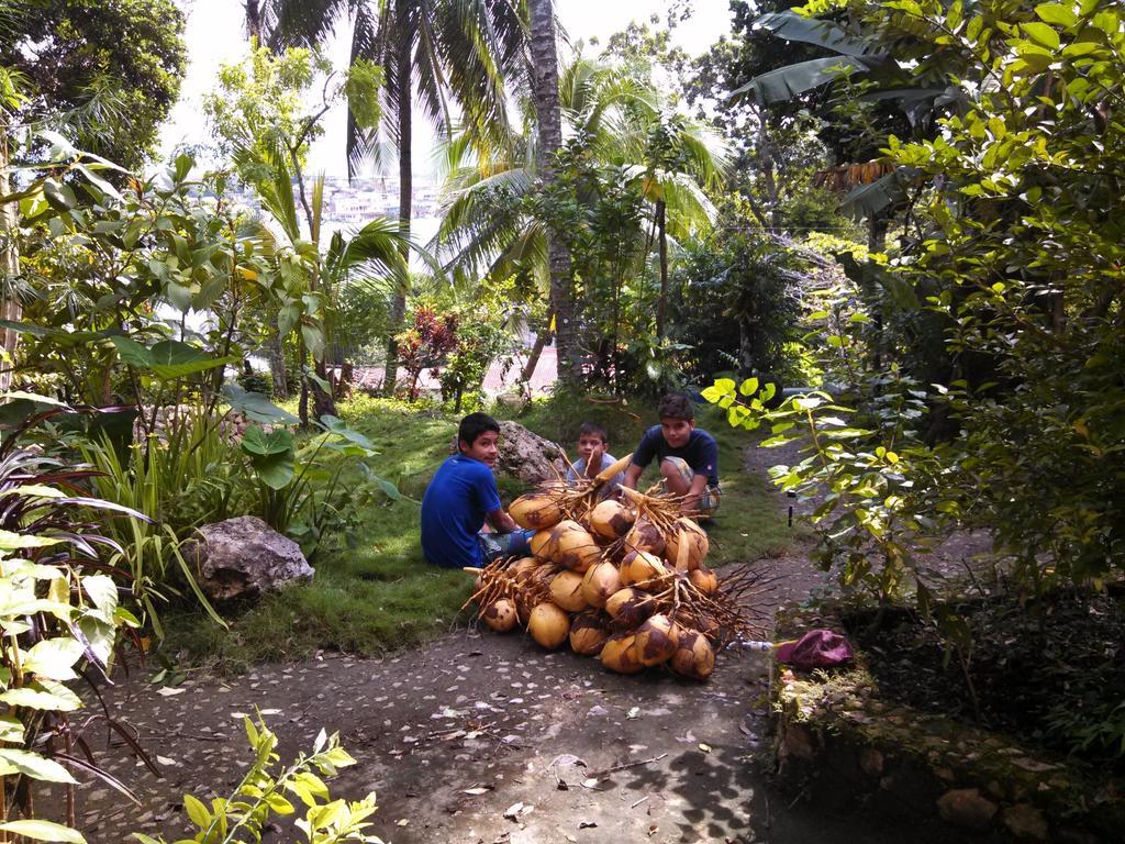 Zapote Tree Inn Flores Kültér fotó
