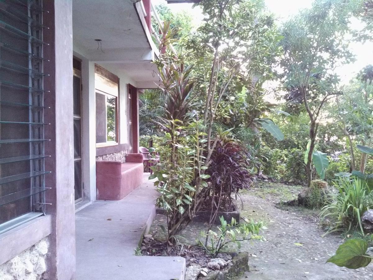 Zapote Tree Inn Flores Kültér fotó