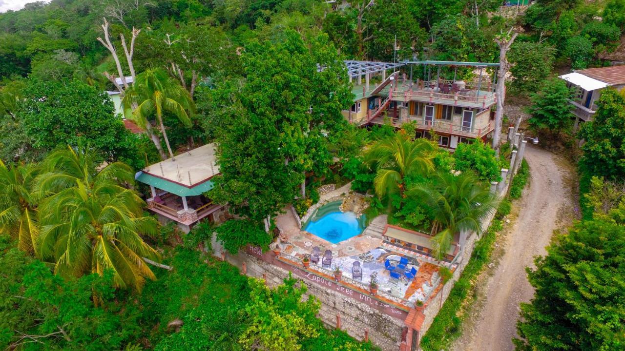 Zapote Tree Inn Flores Kültér fotó